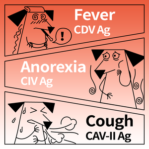 Sabervet nhà máy cúm nhanh chóng kiểm tra canine adenovirus loại 2 distemper Kit kiểm tra - Product Image 2