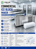 Générateur de glace en blocs professionnel avec conception silencieuse pour les usines de transformation en intérieur