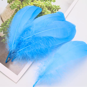 Plumes de canard naturelles en vrac pour <span class=keywords><strong>la</strong></span> décoration de mariage, les arrangements floraux, <span class=keywords><strong>la</strong></span> fabrication de chapeaux et les loisirs créatifs - Product Image 6