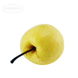 2023新鮮な緑のSu梨の果物の新作物10kgのカートン