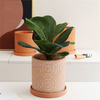 Pot de fleurs moderne en céramique rouge en terre cuite avec trou de drainage et soucoupe pour la plantation et la décoration de succulentes cactus