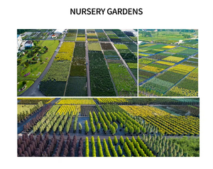 Macetas Para germinacion macetas de plstico colgantes Thêm Grandes maceteros Grandes bên ngoài vườn ươm chậu nhựa 35 gallon - Product Image 6