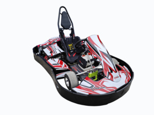 Karting de course F1 homologué CE, 200cc électrique, 4 temps, moteur 500cc, pédales <span class=keywords><strong>12V</strong></span>, karting de différentes tailles, 196cc, 270cc, 168cc - Product Image 6