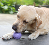 Nuevo Juguete Masticable de Caucho Natural Clásico de Lujo para Perros, Biodegradable y Ecológico para la Limpieza de los Dientes de las Mascotas