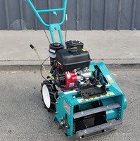 Cortadora de Césped y Desbrozadora Autopropulsada a Gasolina, Resistente, para Venta al por Mayor y Mantenimiento de Jardines