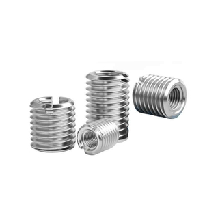 ตัวเสียบแบบเกลียวสแตนเลสสำหรับ<span class=keywords><strong>การ</strong></span><span class=keywords><strong>แปลง</strong></span>เกลียวมาตรฐานการลด<span class=keywords><strong>การ</strong></span>เคาะชิ้นส่วน CNC ด้วยตนเอง - Product Image 2