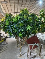 Arbre à Monnaie Artificiel Pachira Aquatica, Feuilles Réalistes, Décoration Intérieure pour Bureau, Centre Commercial, Hôtel, Arbre de la Fortune