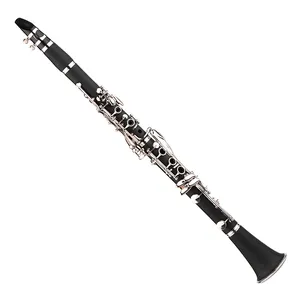 17 tasti bB piatte Soprano clarinetto con panno di pulizia guanti 10 ance cacciavite cassa di canna clarinetto