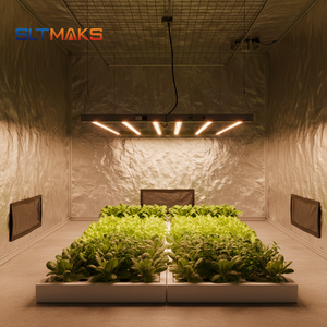 Luces LED de Cultivo Samsung Lmh301h Evo Lm281b de Espectro Completo para Microverduras, Invernaderos y Jardines, Proveedor de Plantas Verdes para Interiores - Product Image 1