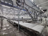 Équipement d'abattage de bovins et ovins, ligne de transformation de la viande, machine de découpe et de désossage, pompe, moteur, roulement, acier inoxydable, électrique