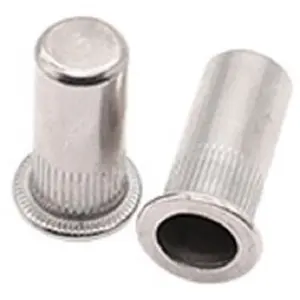 Tuerca de remache de acero inoxidable SS304 Rivnut Insertos roscados métricos nutsert remache ciego extremo cerrado cabeza reducida/cabeza plana