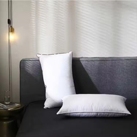 Oreiller de couchage pour bébé en coton 100 % personnalisé, garnissage 30 % duvet d'oie et 70 % plumes, pour la maison et la literie, vente en gros