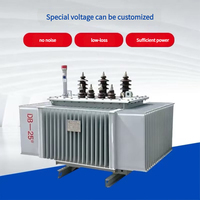 Transformator Distribusi Tiga Fasa 100kVA 50/60Hz Tegangan Khusus untuk Peralatan Pasokan Daya Industri