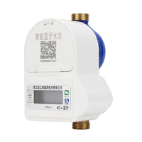Compteur d'eau intelligent numérique prépayé en laiton IP68 avec jeton LoRa-WAN NB-IoT, plage de mesure 15-25 mm, garantie 1 an