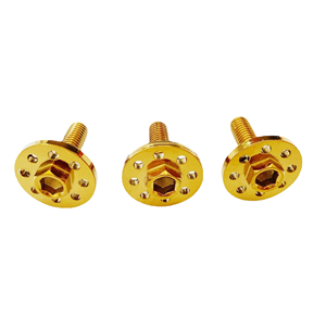 Tùy Chỉnh Bán Buôn M6 X 20 Titan Giấy Phép Tấm Khung Bolt Vít Cho Xe Máy Xe Ô Tô Tự Động - Product Image 4