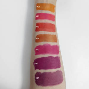 OEM Private Label biologico impermeabile grassoccio vegano rossetto liquido 5g lucidalabbra tinta labbra - Product Image 2