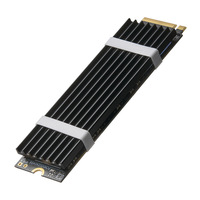 Radiateur M.2 pour SSD NVMe, dissipateur thermique NGFF2280