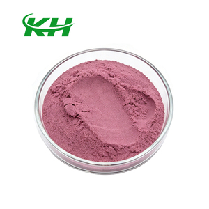 Poudre de baies d'açaï de qualité alimentaire pure à 99 %, soluble dans l'eau, poudre de jus de baies d'açaï - Product Image 2