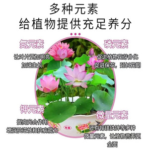 Solution nutritive Kyushu Garden Bowl Lotus 100ml, nourriture liquide pour plantes pour hydroponie et culture en terre - Product Image 5