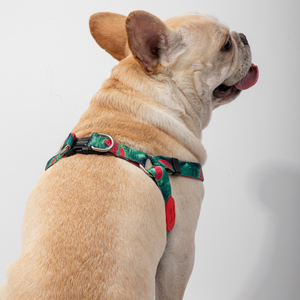 สายจูงสุนัขปรับแต่งโลโก้ได้มี9สีสไตล์แฟชั่นยอดนิยม - Product Image 4