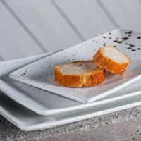 Ensemble d'assiettes rectangulaires en porcelaine écologique pour restaurant, hôtel, pour servir des sushis et des plats de poisson