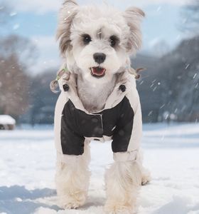 Combinaison imperméable et chaude pour chien, à quatre pattes, avec capuche, pour petits chiens - Product Image 3