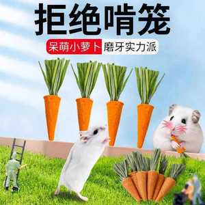 Cute hamster chew sticks, snacks, <b>biscuits</b>, carrots, golden hamsters, dwarf rabbits, guinea pigs, chinchillas, and landscaping - Product Image 5