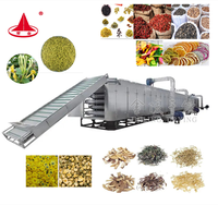 Kleine gaasband fruitdroger transportband dehydraterende machine voor voedselverwerking