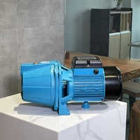 Jet100 pompe à Jet d'eau auto-amorçante haute pression 0,5 hp, 1hp, Irrigation de jardin domestique