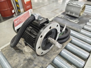 <span class=keywords><strong>Motor</strong></span> eléctrico <span class=keywords><strong>de</strong></span> 10-11 kW IEC <span class=keywords><strong>de</strong></span> repuesto, sin escobillas, RC DC, con monitor <span class=keywords><strong>de</strong></span> <span class=keywords><strong>precio</strong></span>, 120 Hz, 2 polos, 160m B35 - Product Image 6