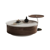 Table basse de salon design, style discret, plateau en bois massif, rangement amovible, pliable, luxe léger, style antique