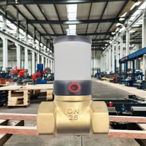 Válvula de Alivio Ajustable de Latón Neumática para la Industria del Petróleo y Gas, Tamaño de Puerto de 1/2"~2" - Product Image 5