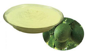 Poudre de jus de <span class=keywords><strong>fruit</strong></span> <span class=keywords><strong>du</strong></span> <span class=keywords><strong>moine</strong></span> <span class=keywords><strong>Lakanto</strong></span> en gros, sans érythritol, édulcorant, pur, 100% extrait de <span class=keywords><strong>fruit</strong></span> <span class=keywords><strong>du</strong></span> <span class=keywords><strong>moine</strong></span> séché - Product Image 3