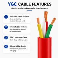 YGC 4*2,5 mm Hochleistungs-Silikonkabel Verzinntes Kupfer Flexibles Hitzebeständiges Industrielles Stromkabel