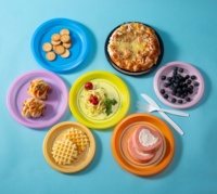 Ensemble jetable personnalisé de couleurs mélangées Disque en plastique pour fête Ensemble de vaisselle pour biscuits et gelée