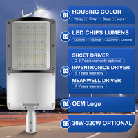 Produsen Lampu Jalan LED Kelas Atas Tanpa Alat, Sudut Dapat Disesuaikan, 30W~320W IP66 Lampu Jalan LED untuk Jalan Raya