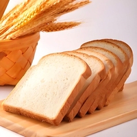 Nouveau grille-pain automatique et manuel pour la maison, coupe-hamburger, sandwich et pain grillé, haute efficacité, utilisation facile