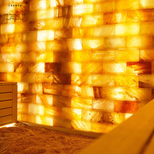 Briques de <span class=keywords><strong>sel</strong></span> artisanales de l'<span class=keywords><strong>Himalaya</strong></span> Briques murales de sauna au <span class=keywords><strong>sel</strong></span> le plus élevé pour la construction de spa pour les avantages pour la santé et le bien-être - Product Image 3