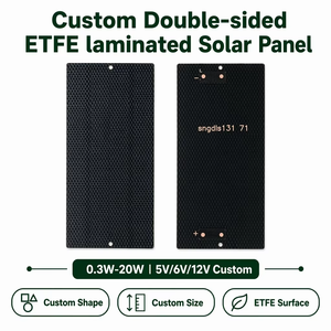 Panel Solar Mini de Alta Durabilidad, Resistente al Agua IP68, Laminado de Doble Cara con ETFE, 1W 5W 10W 20W, para Monitoreo Marino - Product Image 1