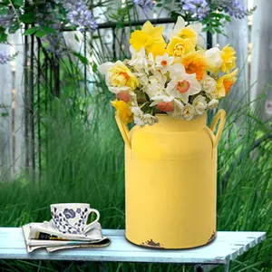 Pot Vase de baignoire pichet Offres Spéciales fabricant vente en gros Style Antique Matel amphiora fleur métal fer pays poudre enduit