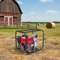Pompe à eau pour moteur diesel OEM personnalisable pour le nettoyage à basse pression. Il offre des options de démarrage manuel et électrique.