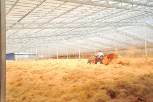 Fibres de coco brun doré de qualité supérieure, faible teneur en impuretés, balles de 100 kg, matériau de rembourrage en fibres naturelles de haute qualité - Product Image 5