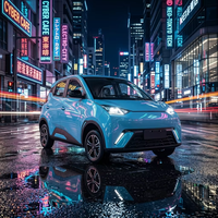 Véhicule électrique à quatre roues au lithium-ion, léger, économique en énergie, élégant, longue autonomie (80 km), vitesse maximale de 45 km/h, idéal pour les voyages sur route en campagne