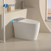 Fabricant Chinois WC Intelligent Automatique Électronique