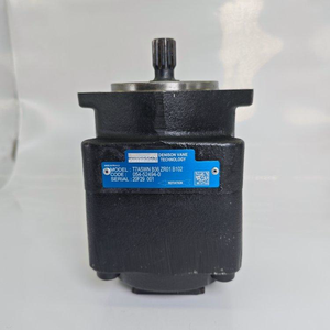 Pompe à palettes hydraulique OEM Série T7AS T7ASW T7ASWN B36 ZR01 B102 - Product Image 6