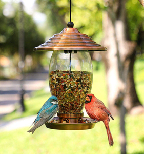 Tube mangeoire à oiseaux en acier transparent robuste et épais pour jardin, cour, patio, suspendu, pour attirer les oiseaux sauvages, avec support en métal pour graines sauvages - Product Image 6