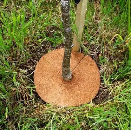 Coco protetor de anel de fibra de coco, 11.8 ", proteção de palma da coir, árvore, mulch, esteira forro para disco, planta, anel de cobertura, vaso de flores