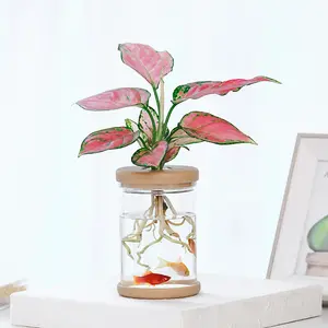 Macetas cuadradas de flores decorativas para plantas suculentas, macetas de plástico de autoriego para interiores y exteriores, color blanco