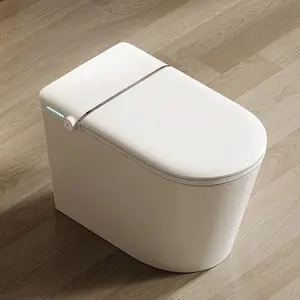 ZHONGYA Oem E029 Hot Sale Automatic Sanitary Ware Intelligent Toilet Bowl Bathroom Wc Ceramic Smart Bidet Toilet