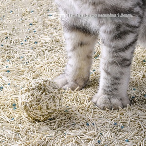 Desain gratis tahu sampah kucing disesuaikan Arena De tahu Gato murah Tahu tanaman singkong kucing pabrik tahu sampah kucing pasir - Product Image 2